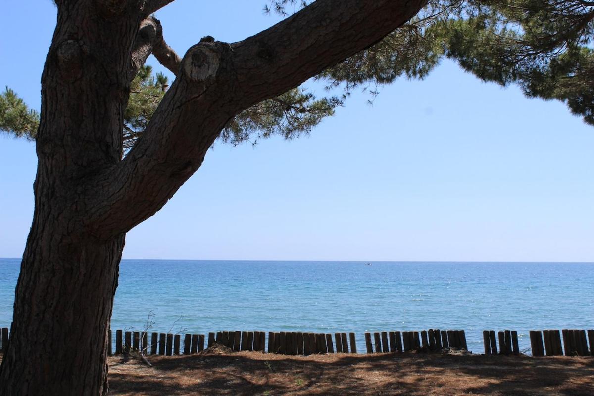 Вилла Bord de mer, pieds dans l'eau, vue panoramique Сан-Николао Экстерьер фото